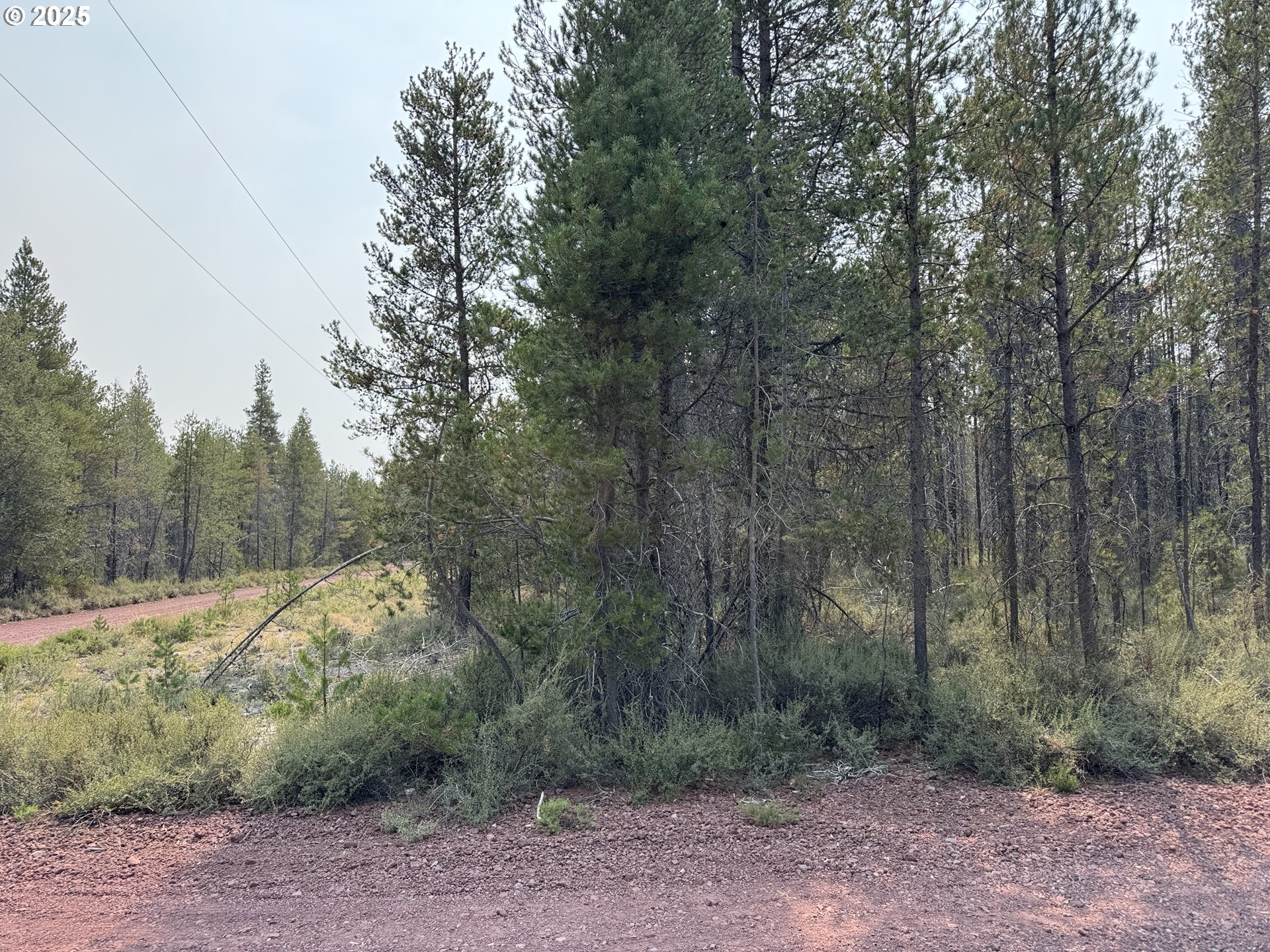 Cloudcap Drive, Unit 1 Chiloquin, OR 97624 - Photo 7 of 23 a view of a forest with trees in the background