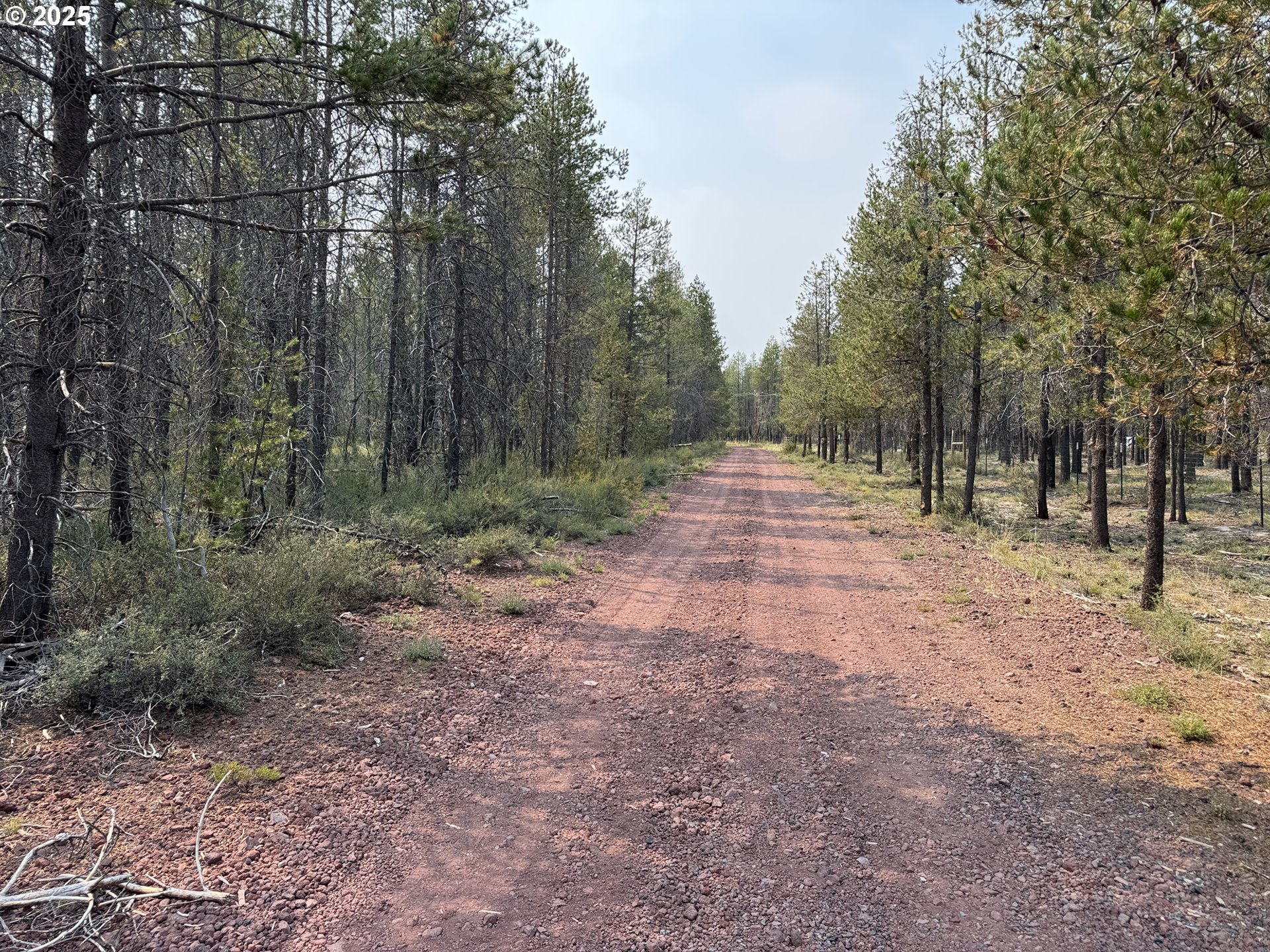 Cloudcap Drive, Unit 1 Chiloquin, OR 97624 - Photo 10 of 23 a view of outdoor space with trees