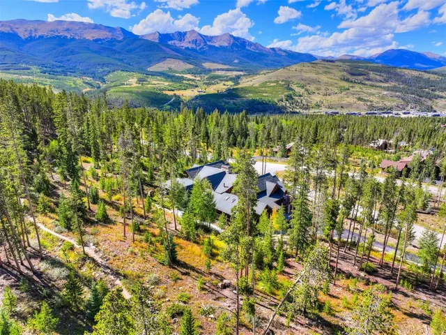 a view of a yard with plants