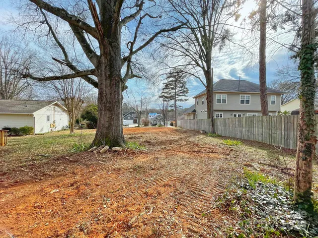 a view of a yard with a large tree