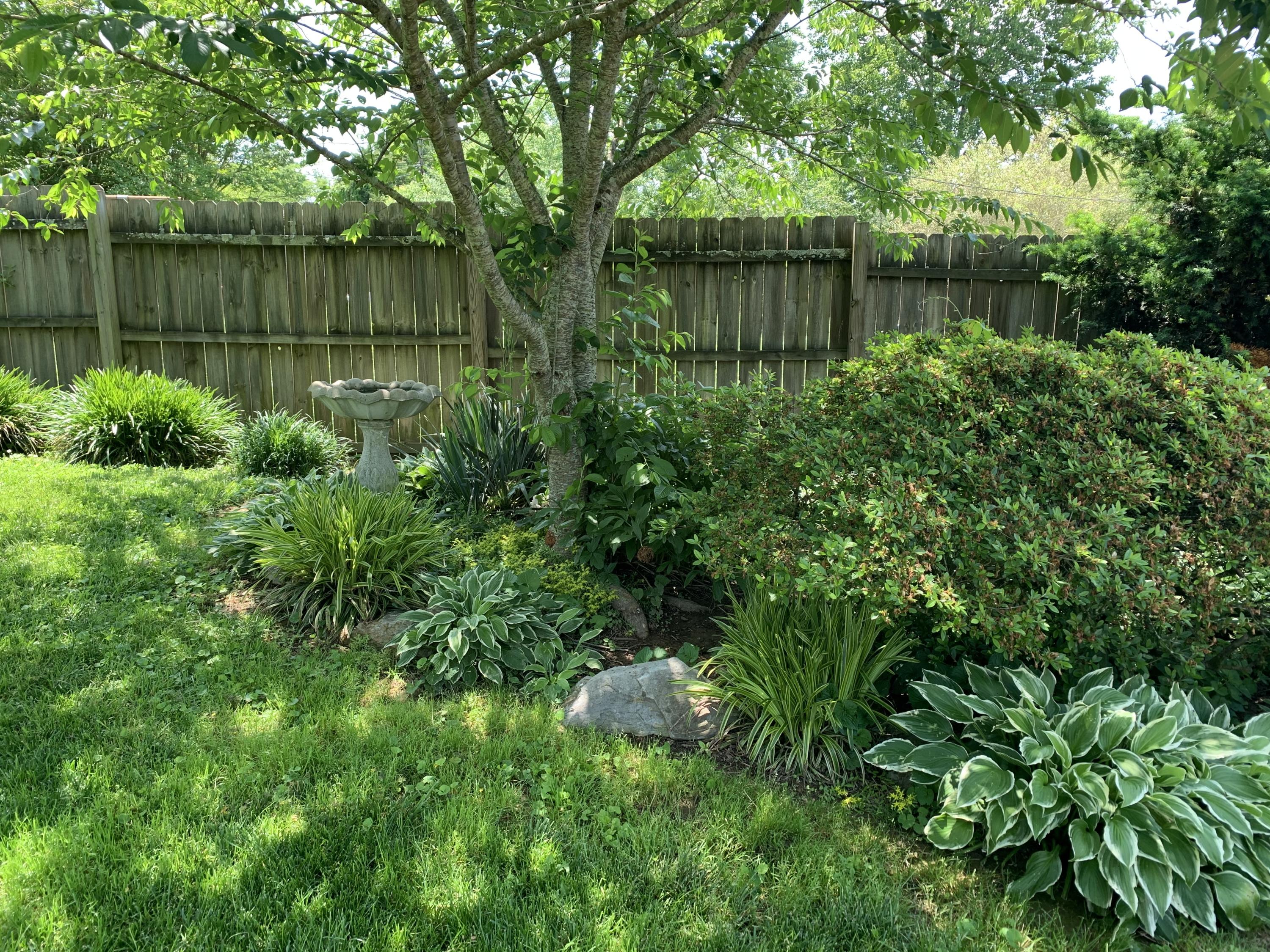 308 Hamilton Road Knoxville, TN 37920 - Photo 16 of 40 backyard