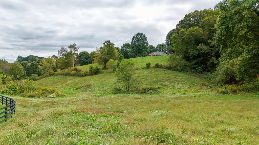 29458 Blue Spring Road Meadowview, VA 24361 - Photo 13 of 104 Gallery Image 13