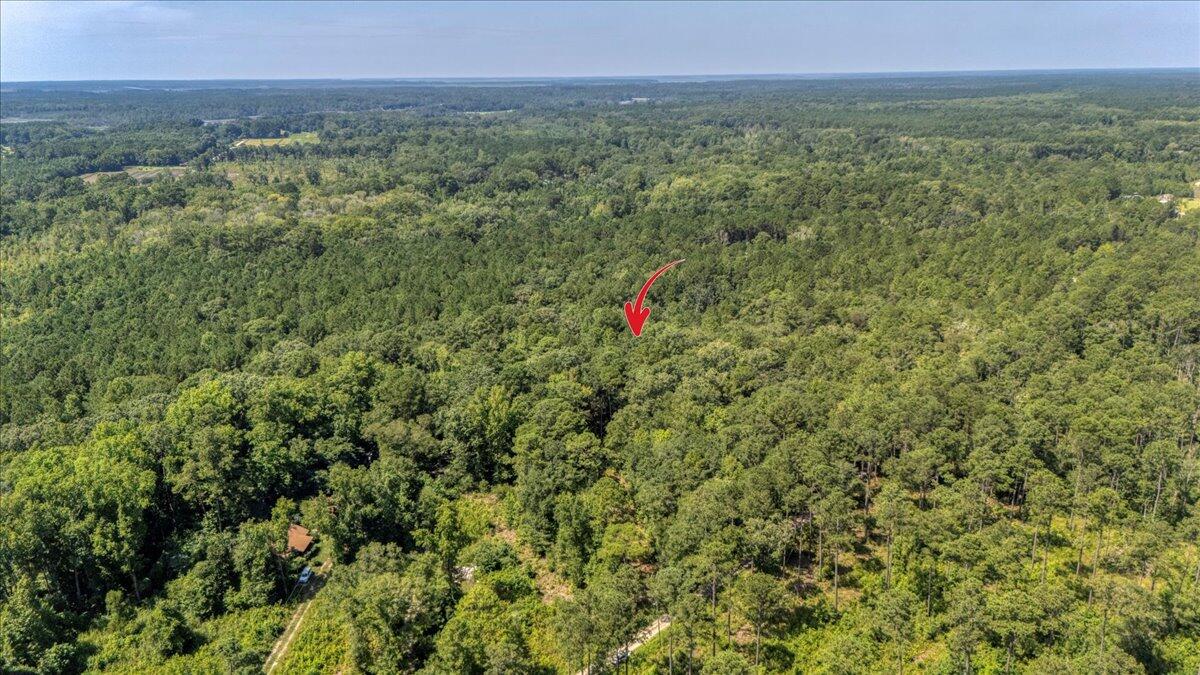 7799 Morris Bing Road Hollywood, SC 29449 - Photo 3 of 10 08-7799 Morris Bing Rd-8