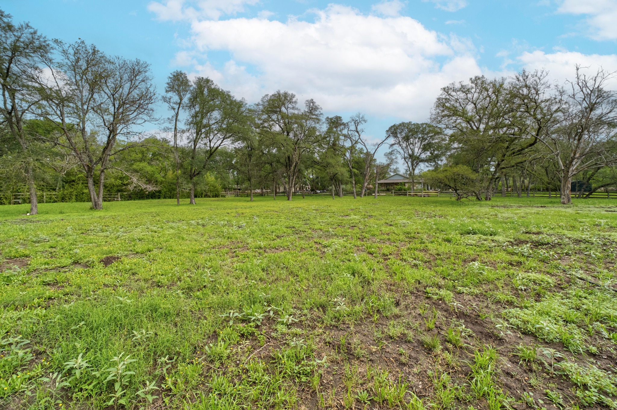 7 Pillow Road Sunset Valley, TX 78745 - Photo 11 of 22 a view of a field with a trees in the background
