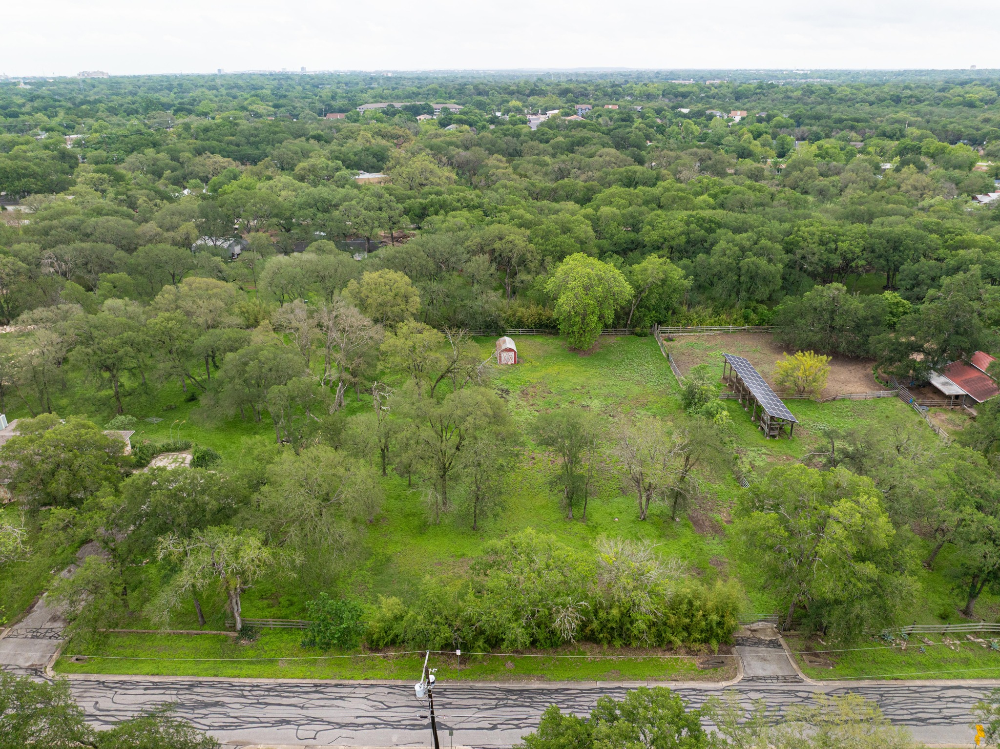 7 Pillow Road Sunset Valley, TX 78745 - Photo 14 of 22 a view of a green yard with large trees