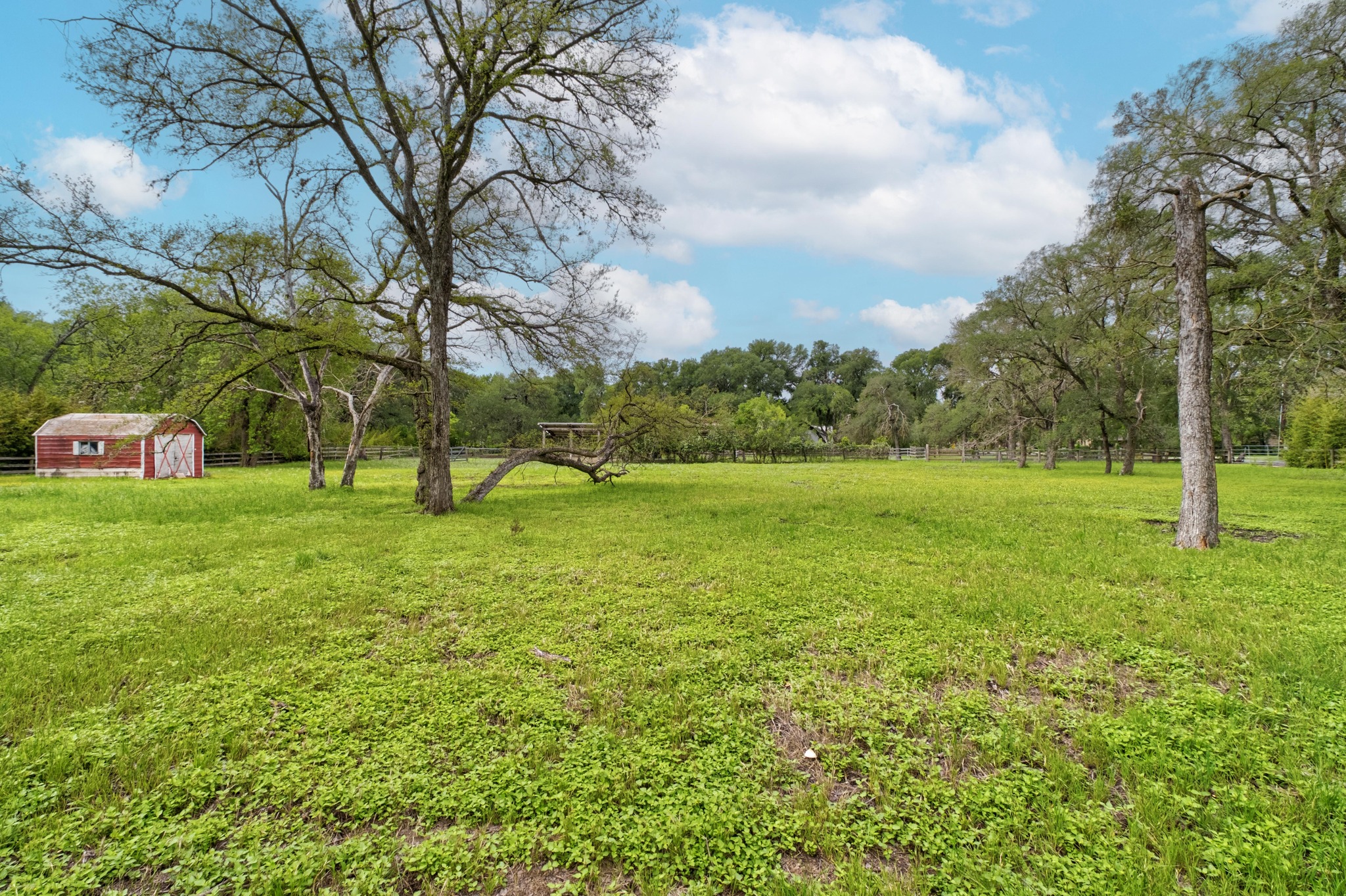 7 Pillow Road Sunset Valley, TX 78745 - Photo 5 of 22 a view of a garden with a tree