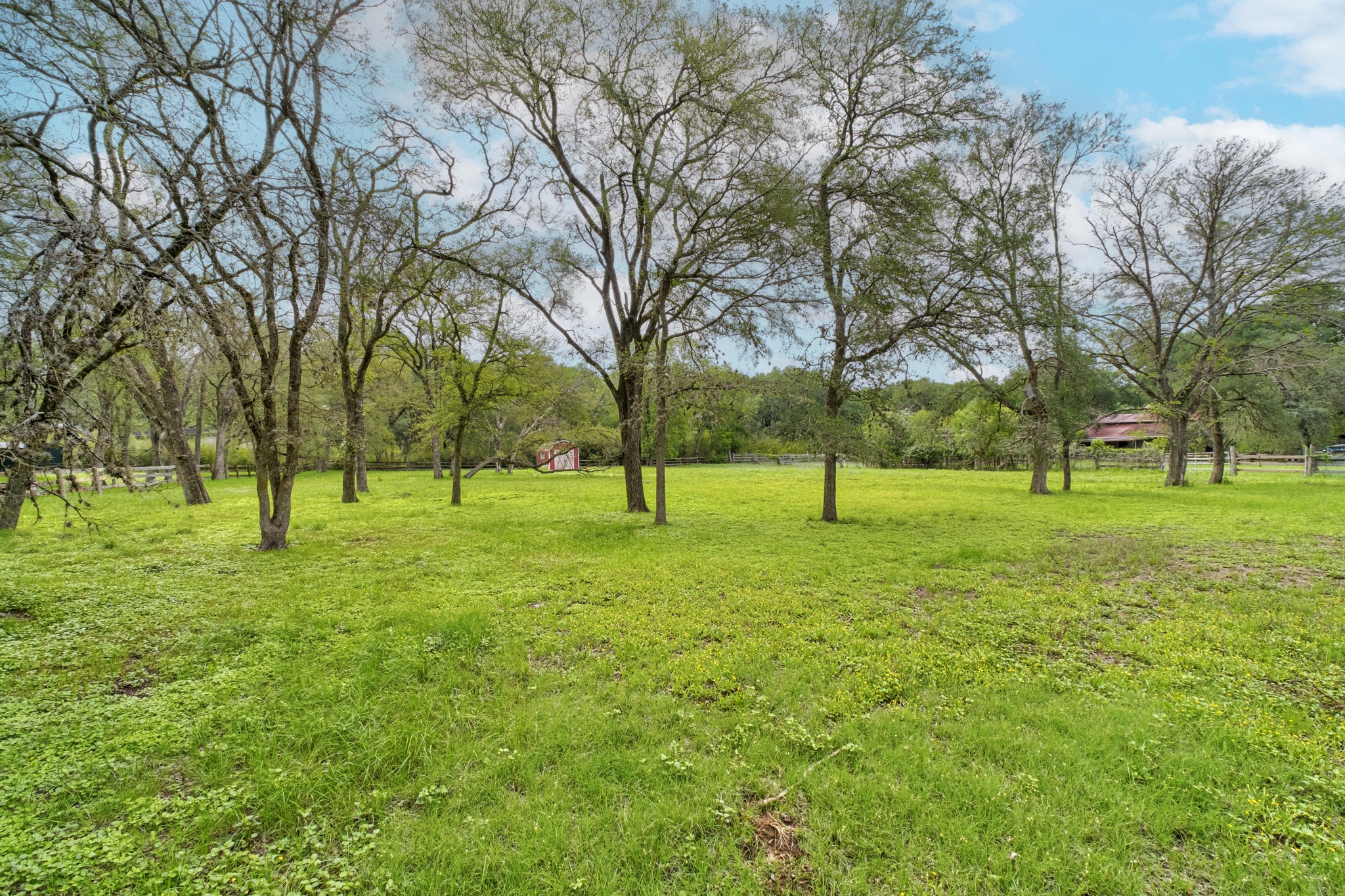 7 Pillow Road Sunset Valley, TX 78745 - Photo 7 of 22 a view of a park with lots of trees