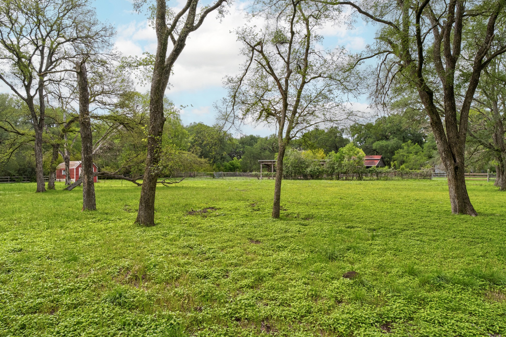 7 Pillow Road Sunset Valley, TX 78745 - Photo 8 of 22 a view of a garden with a tree