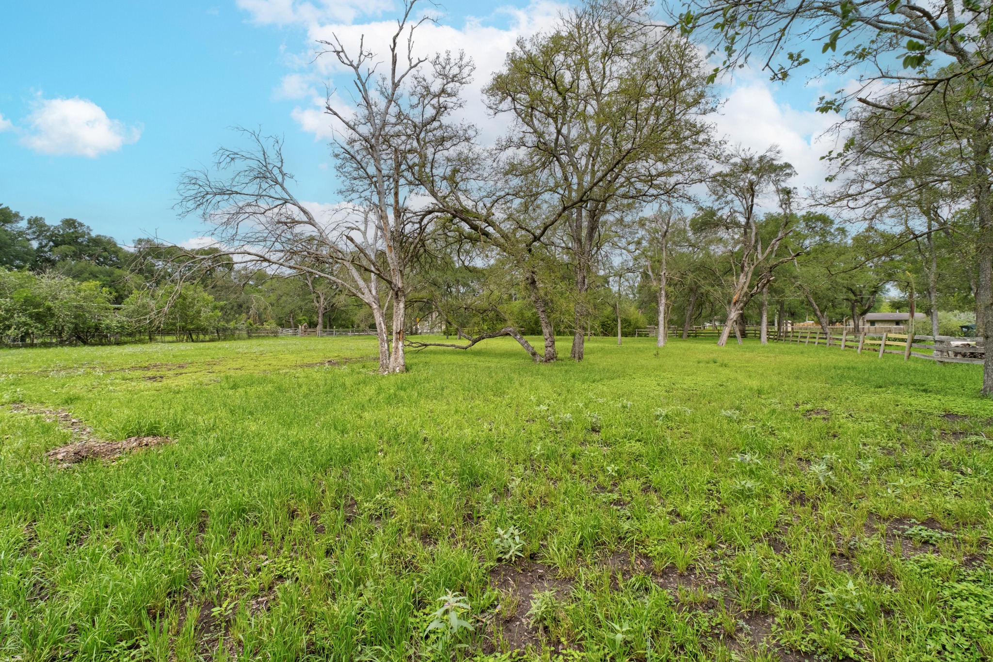 7 Pillow Road Sunset Valley, TX 78745 - Photo 9 of 22 a view of a grassy field with trees