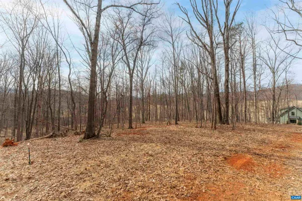 a row of trees with wooden fence