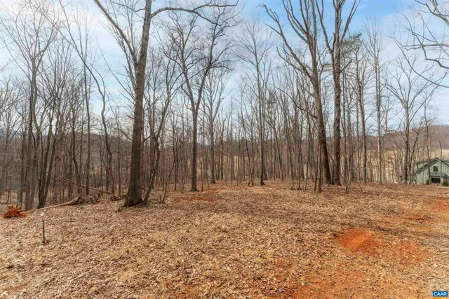 a row of trees with wooden fence