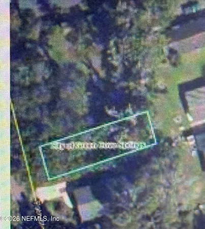 a view of a tree with a yard