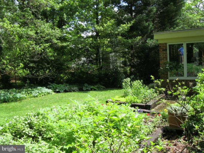 6213 Wedgewood Road Bethesda, MD 20817 - Photo 1 of 9 Exterior (Rear)