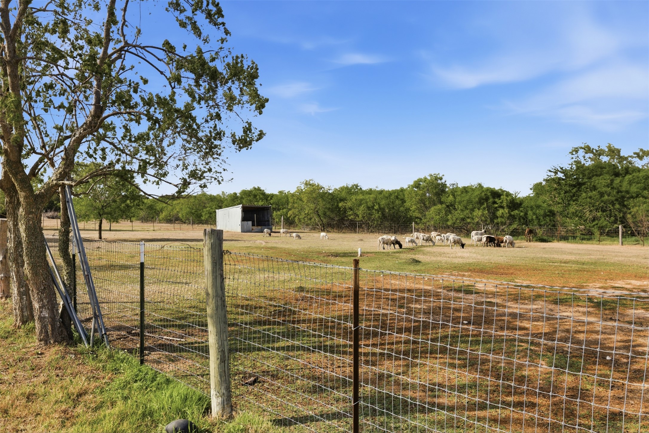 1150 Walter Hoffman Road Cedar Creek, TX 78612 - Photo 7 of 25 View of yard featuring a rural view, an outbuilding, and a pole building