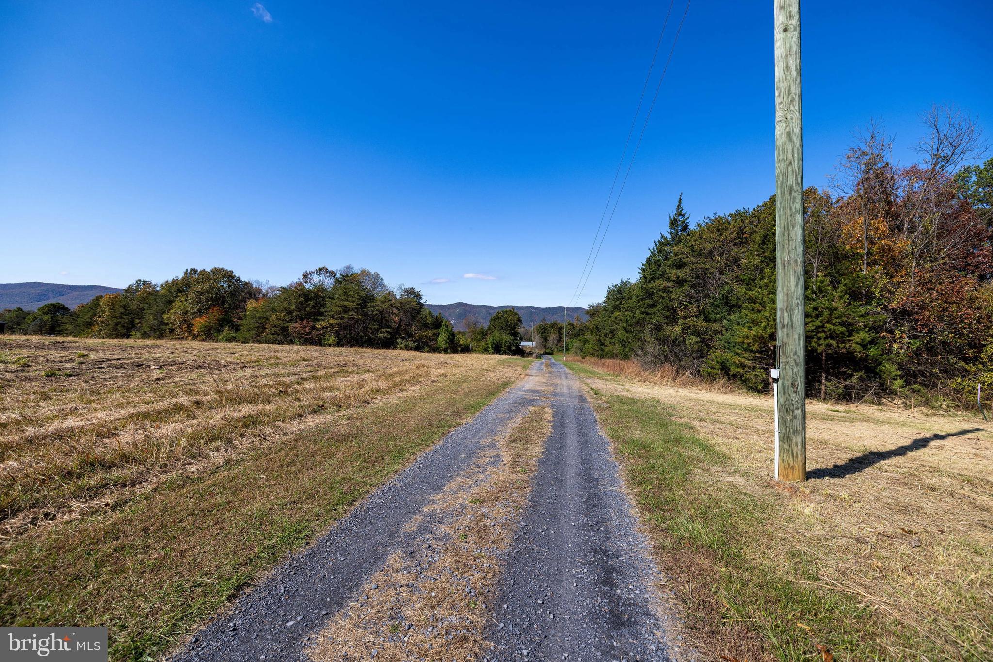 1-2 Young Road Rileyville, VA 22650 - Photo 13 of 16 a view of a yard