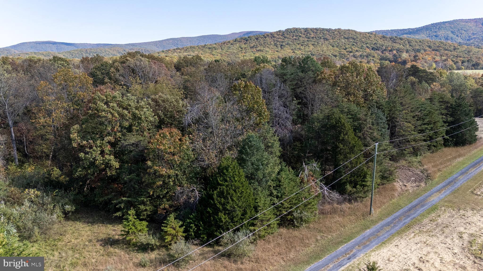 1-2 Young Road Rileyville, VA 22650 - Photo 15 of 16 a view of a forest with a mountain