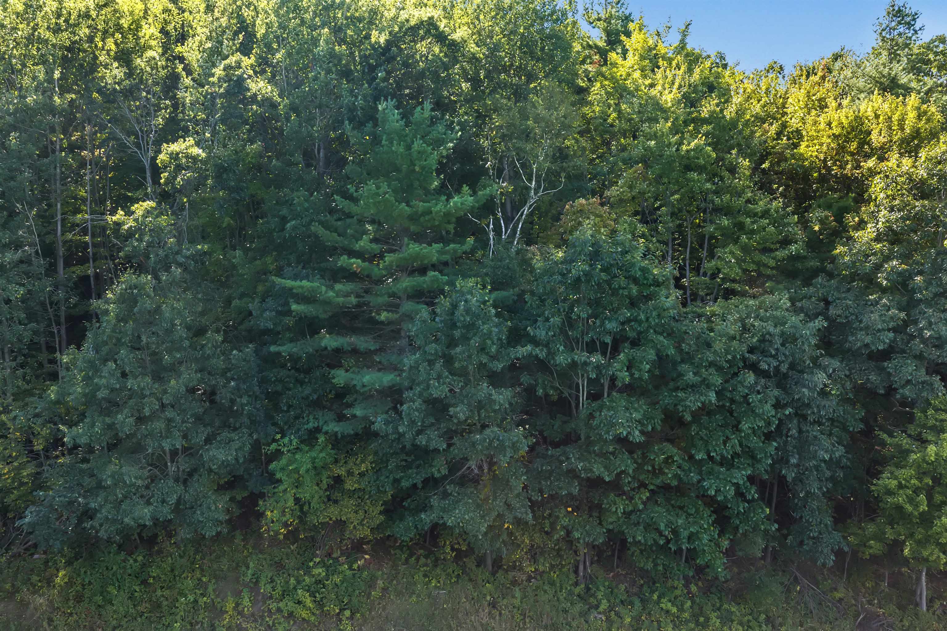 West Hill Road Iola, WI 54945 - Photo 7 of 22 Gallery Image 7