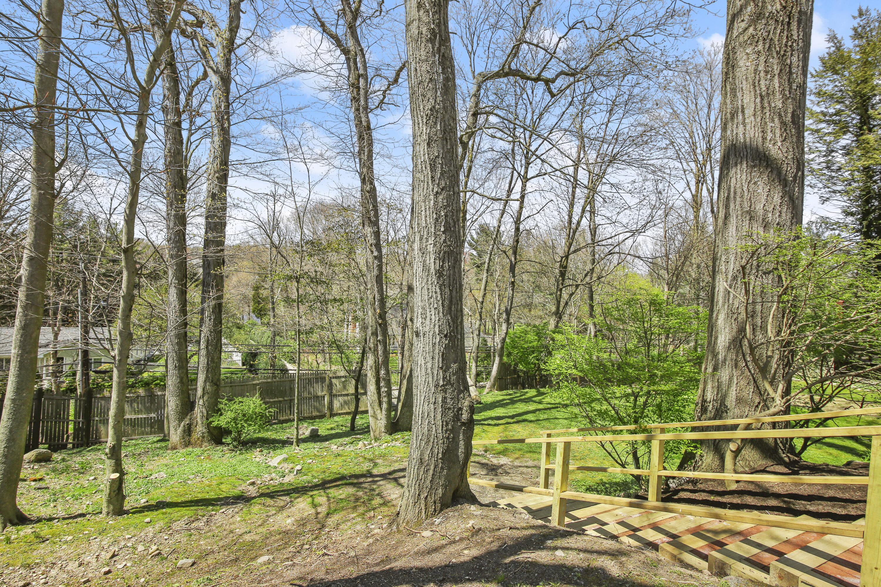 5 Barringer Road Darien, CT 06820 - Photo 30 of 39 a view of a tall trees with a yard