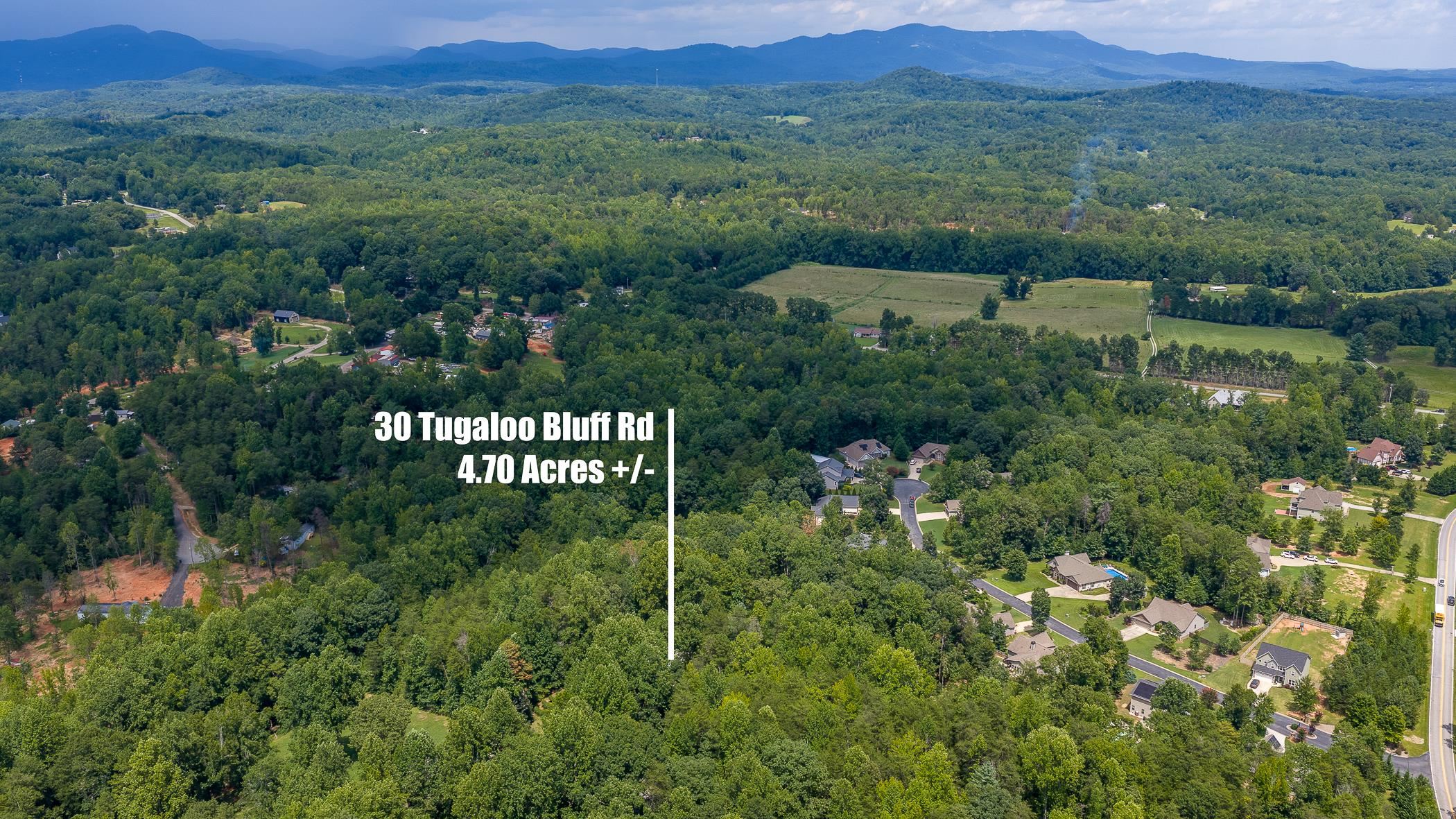 30 Tugaloo Bluff Road Travelers Rest, SC 29690 - Photo 2 of 50 Gallery Image 2