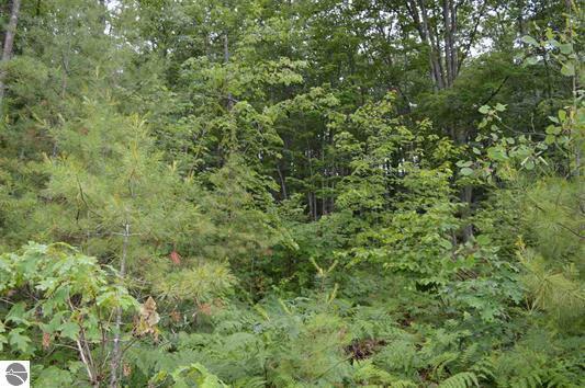 D Twin Bridge Road Grayling, MI 49738 - Photo 7 of 14 Gallery Image 7