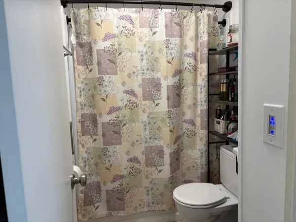 a white toilet sitting next to a shower curtain