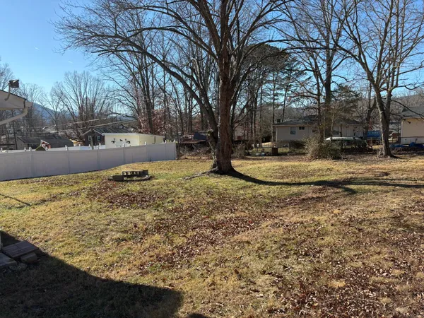 a view of a yard with trees