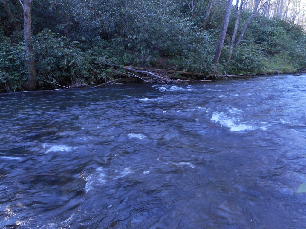 0 Snowbird Road Robbinsville, NC 28771 - Photo 4 of 6 Gallery Image 4