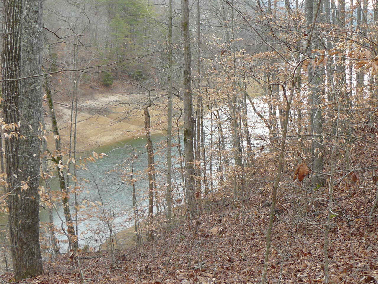 Deer Run Road Sharps Chapel, TN 37866 - Photo 1 of 8 P1380234