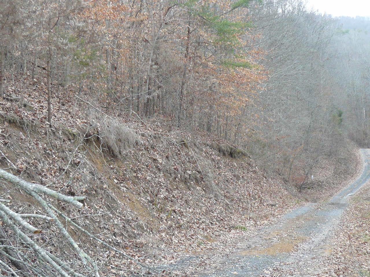 Deer Run Road Sharps Chapel, TN 37866 - Photo 3 of 8 P1380233