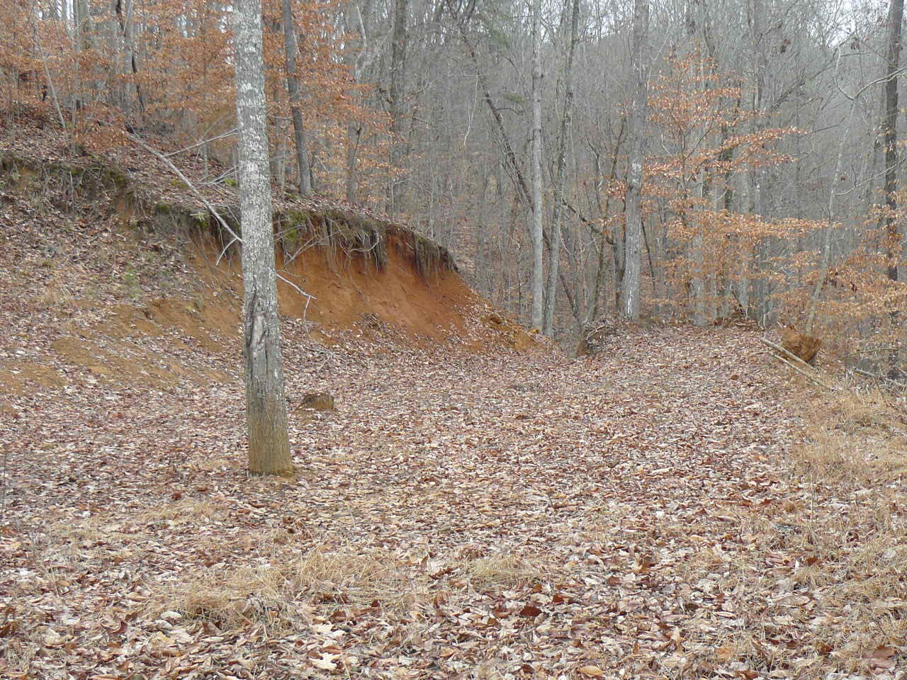 Deer Run Road Sharps Chapel, TN 37866 - Photo 5 of 8 P1380240