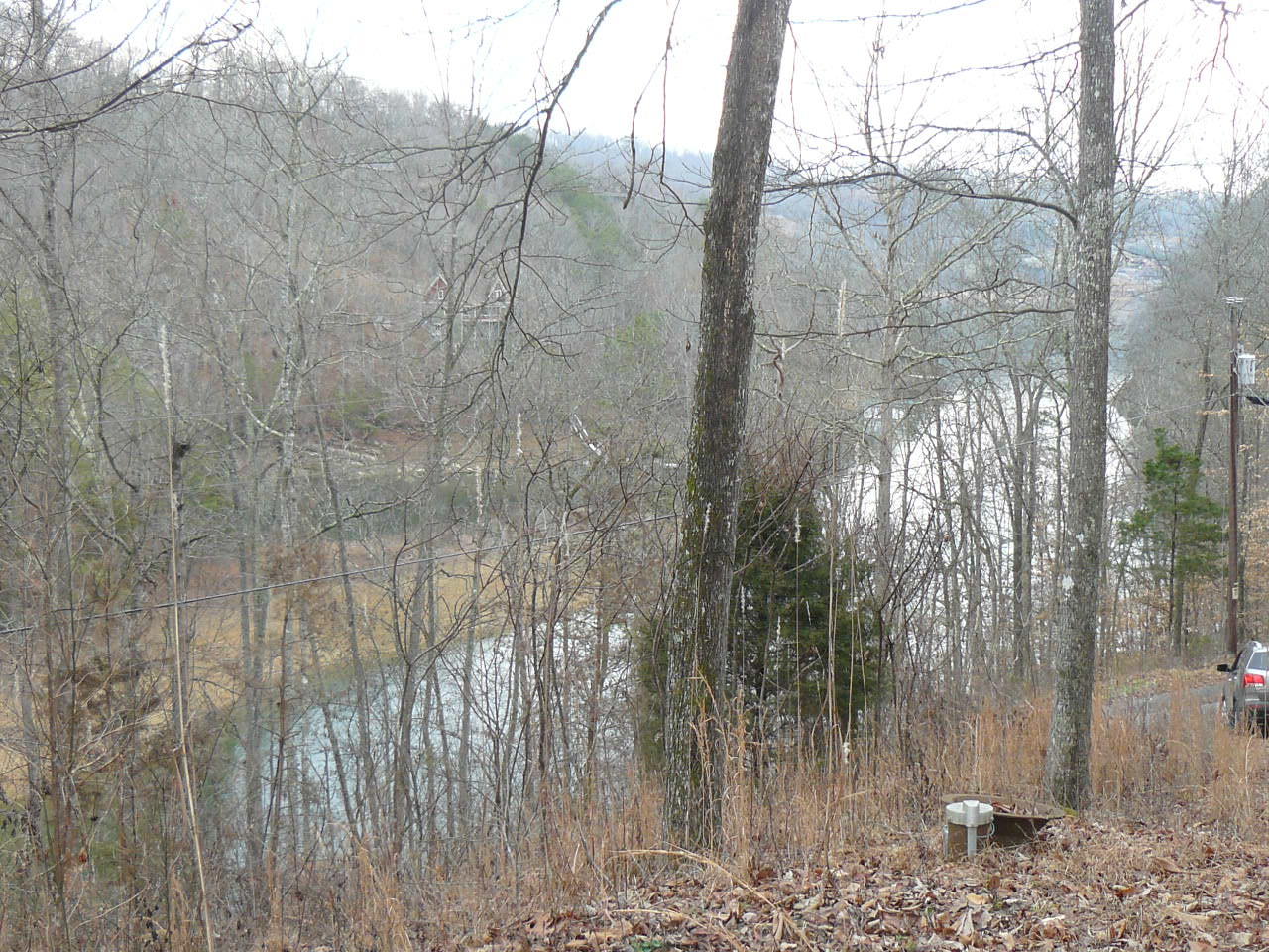 Deer Run Road Sharps Chapel, TN 37866 - Photo 6 of 8 P1380242