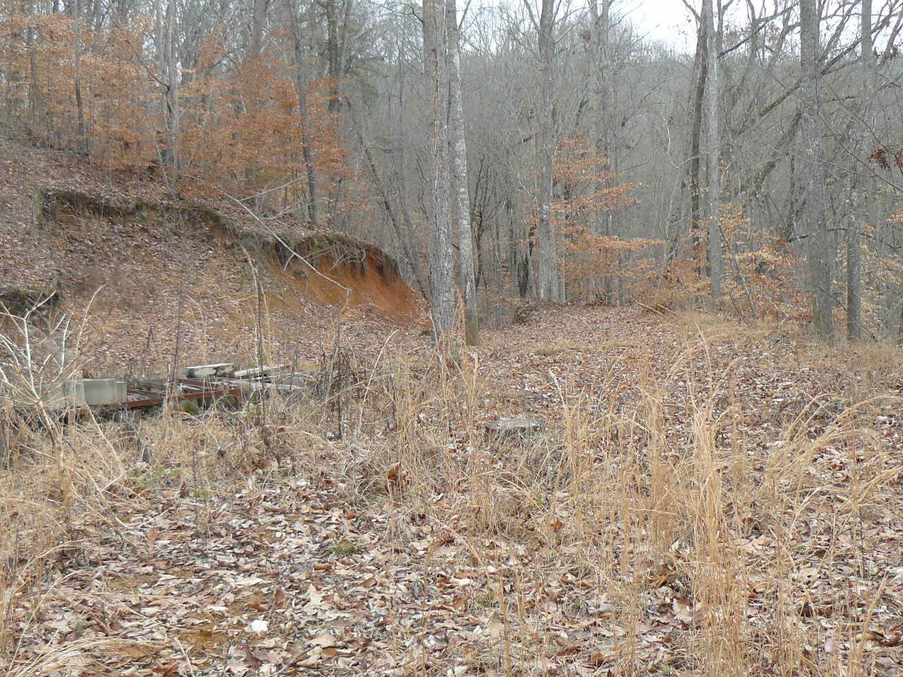 Deer Run Road Sharps Chapel, TN 37866 - Photo 7 of 8 P1380243