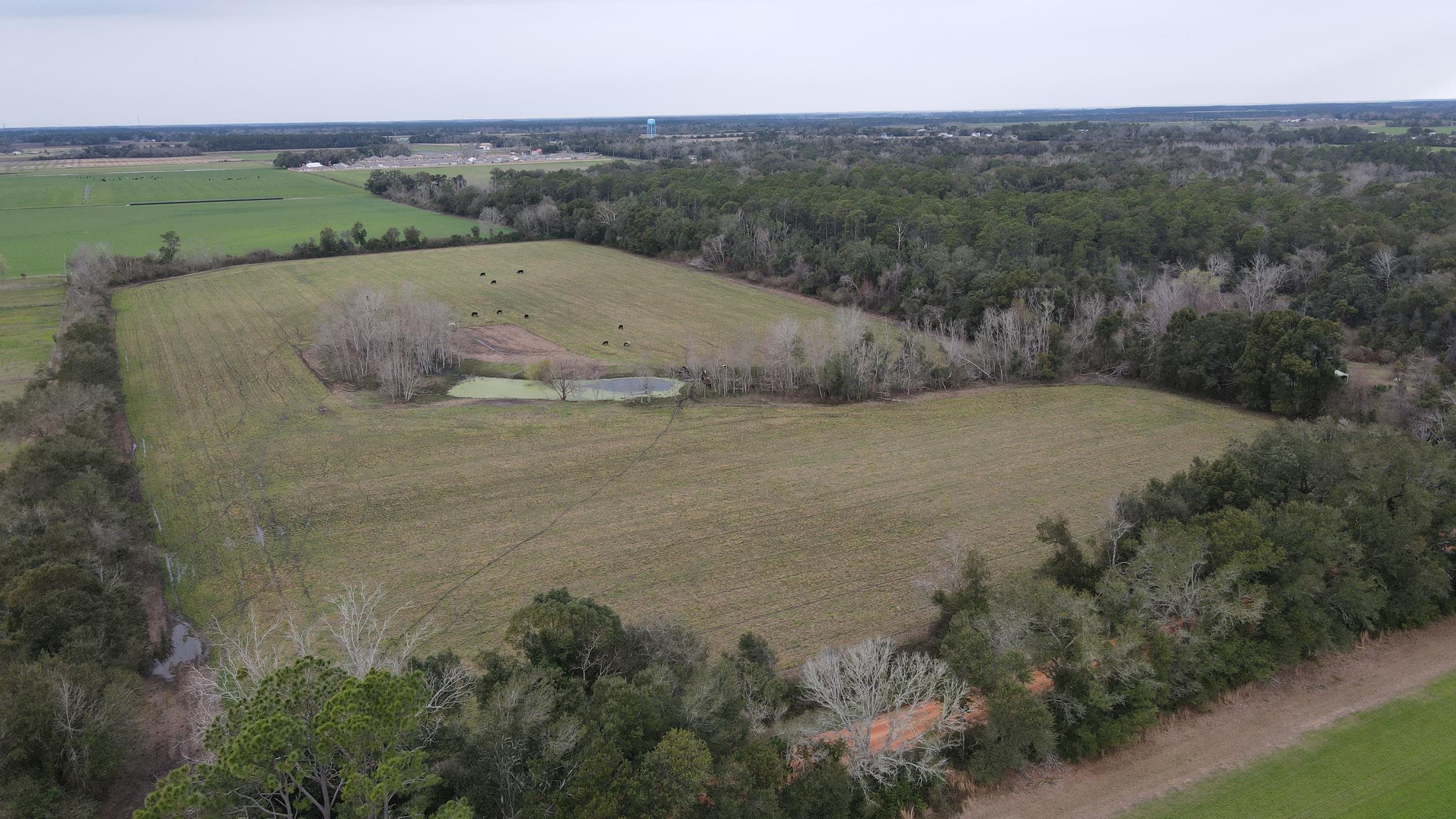 0 Hillcrest Road Lillian, AL 36549 - Photo 9 of 16