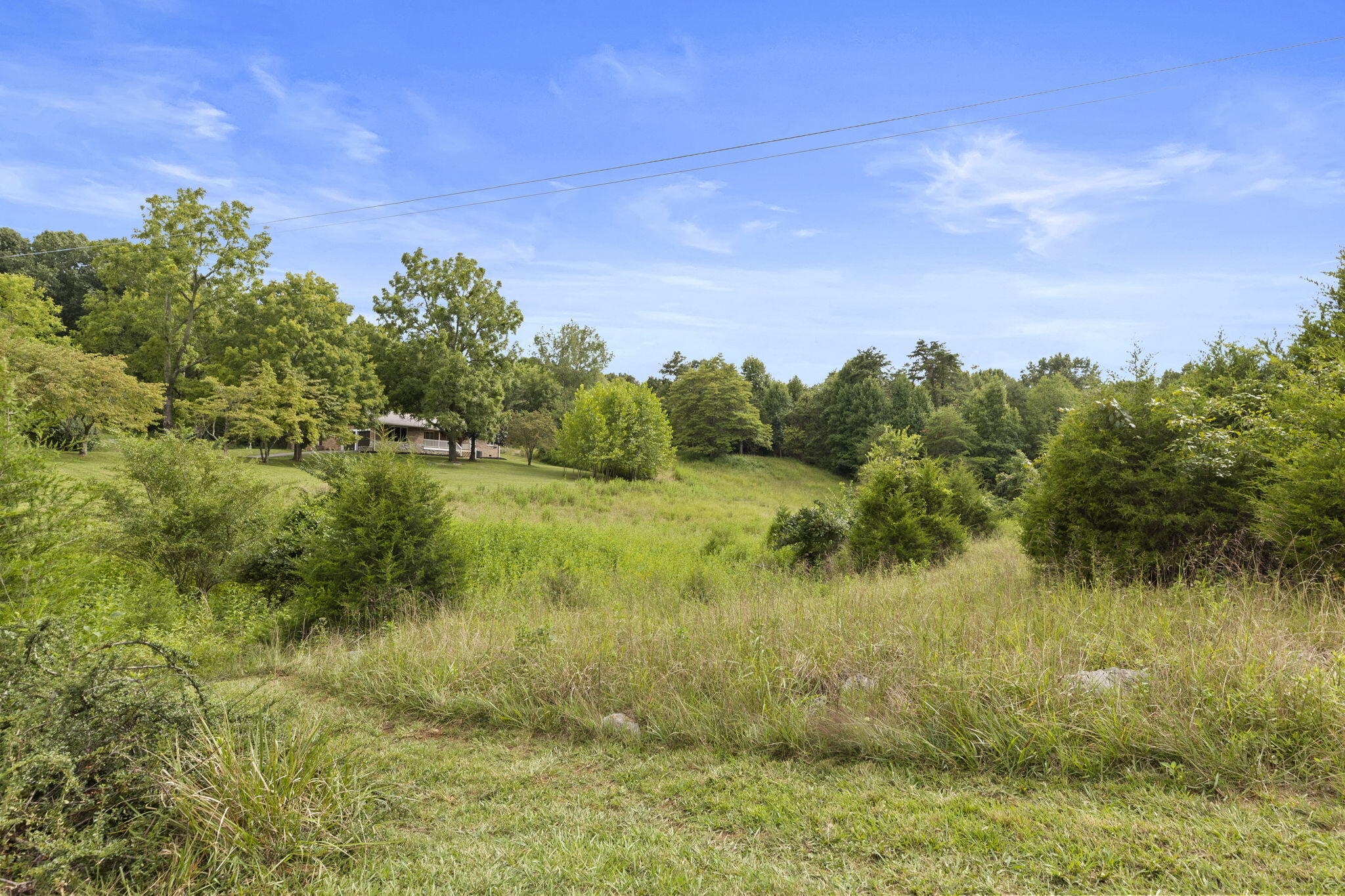 937 Haw Ridge Road Piney Flats, TN 37686 - Photo 31 of 31 View from the road