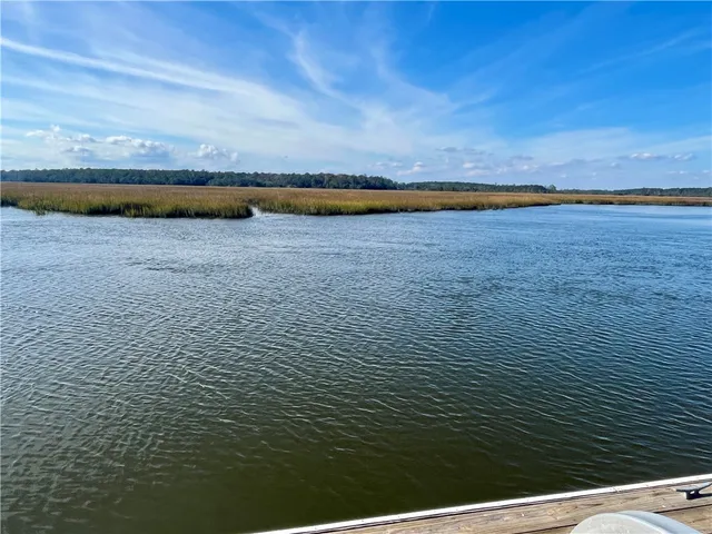 $175,000 | Lot 163 Julienton Drive Northeast, Townsend, GA 31331