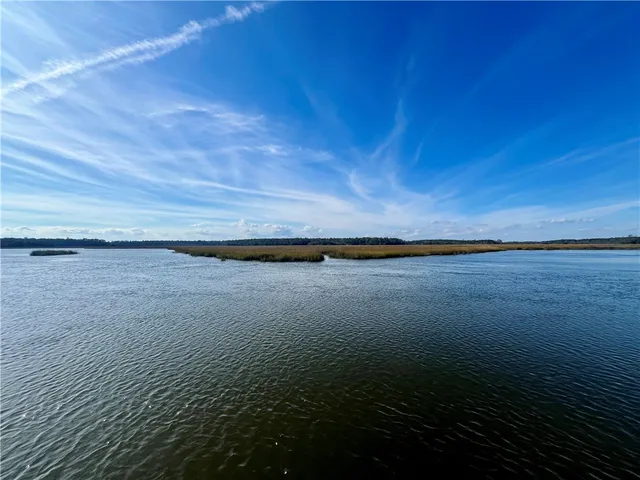 $175,000 | Lot 163 Julienton Drive Northeast, Townsend, GA 31331