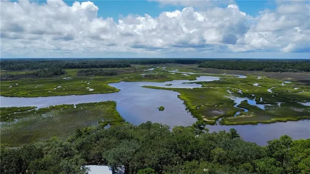 $175,000 | Lot 163 Julienton Drive Northeast, Townsend, GA 31331