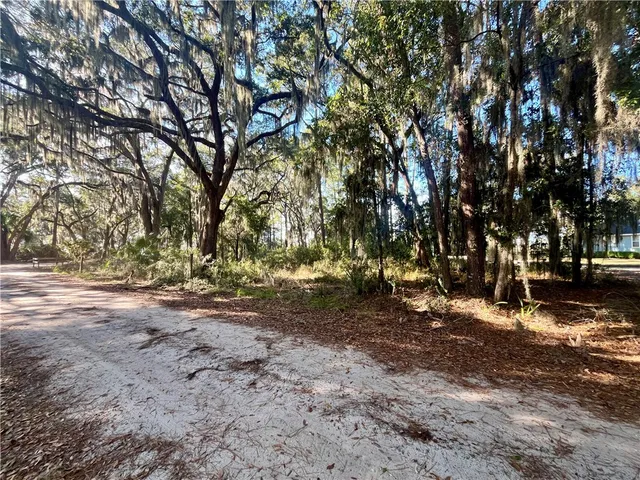 $175,000 | Lot 163 Julienton Drive Northeast, Townsend, GA 31331