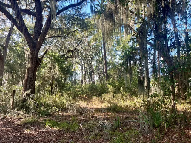 $175,000 | Lot 163 Julienton Drive Northeast, Townsend, GA 31331