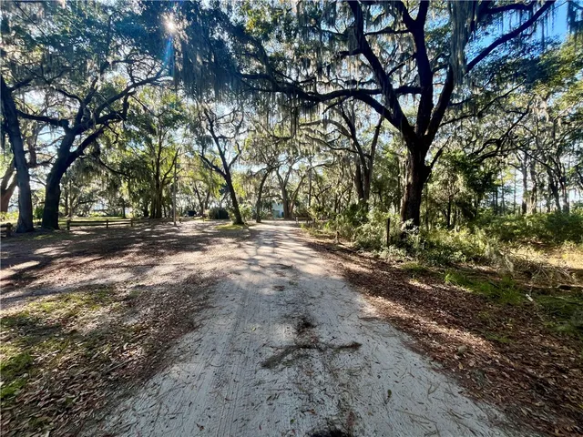 $175,000 | Lot 163 Julienton Drive Northeast, Townsend, GA 31331