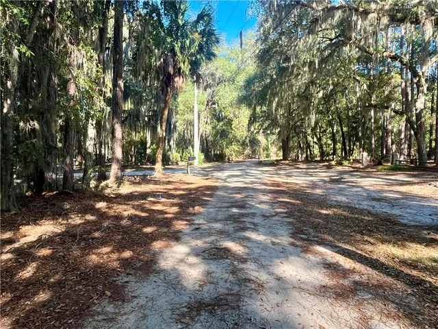 $175,000 | Lot 163 Julienton Drive Northeast, Townsend, GA 31331