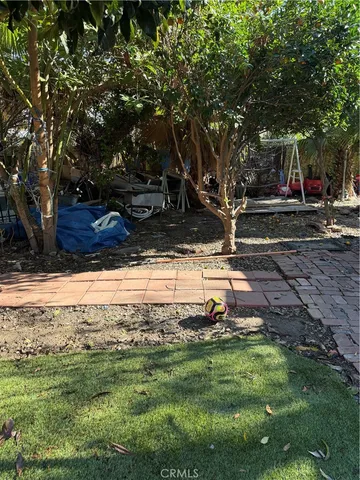 a view of a park with large trees