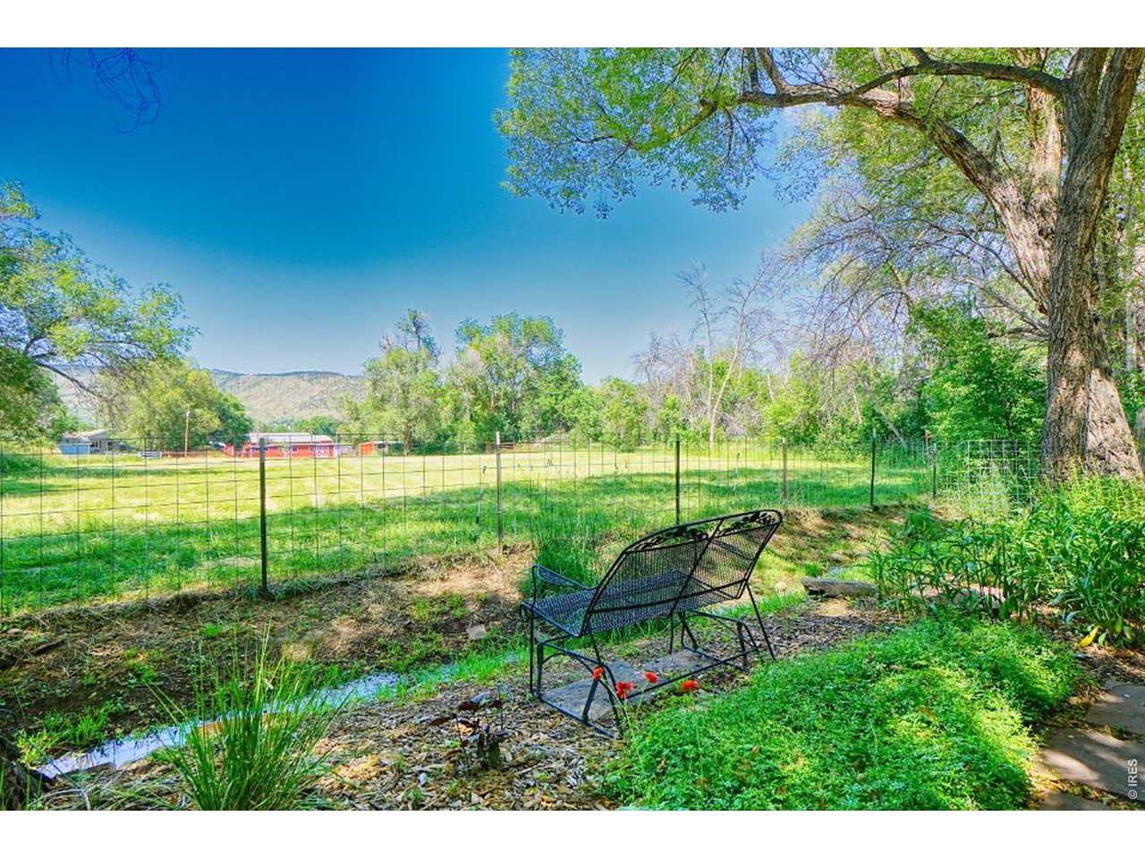 11 Red Gulch Road Lyons, CO 80540 - Photo 29 of 47 Pastoral views to neighbors property