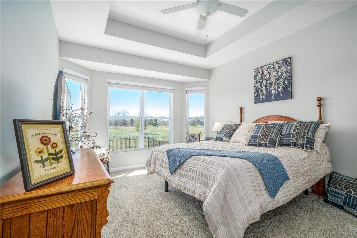 61 Chambers Bay Road Commercial Point, OH 43116 - Photo 4 of 35 Master bedroom with tray ceiling