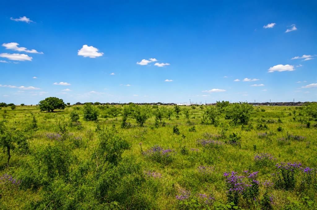 1804 Mensa Drive Haslet, TX 76052 - Photo 29 of 30 Expansive open land featuring diverse green foliage, scattered trees, and natural purple flowering plants