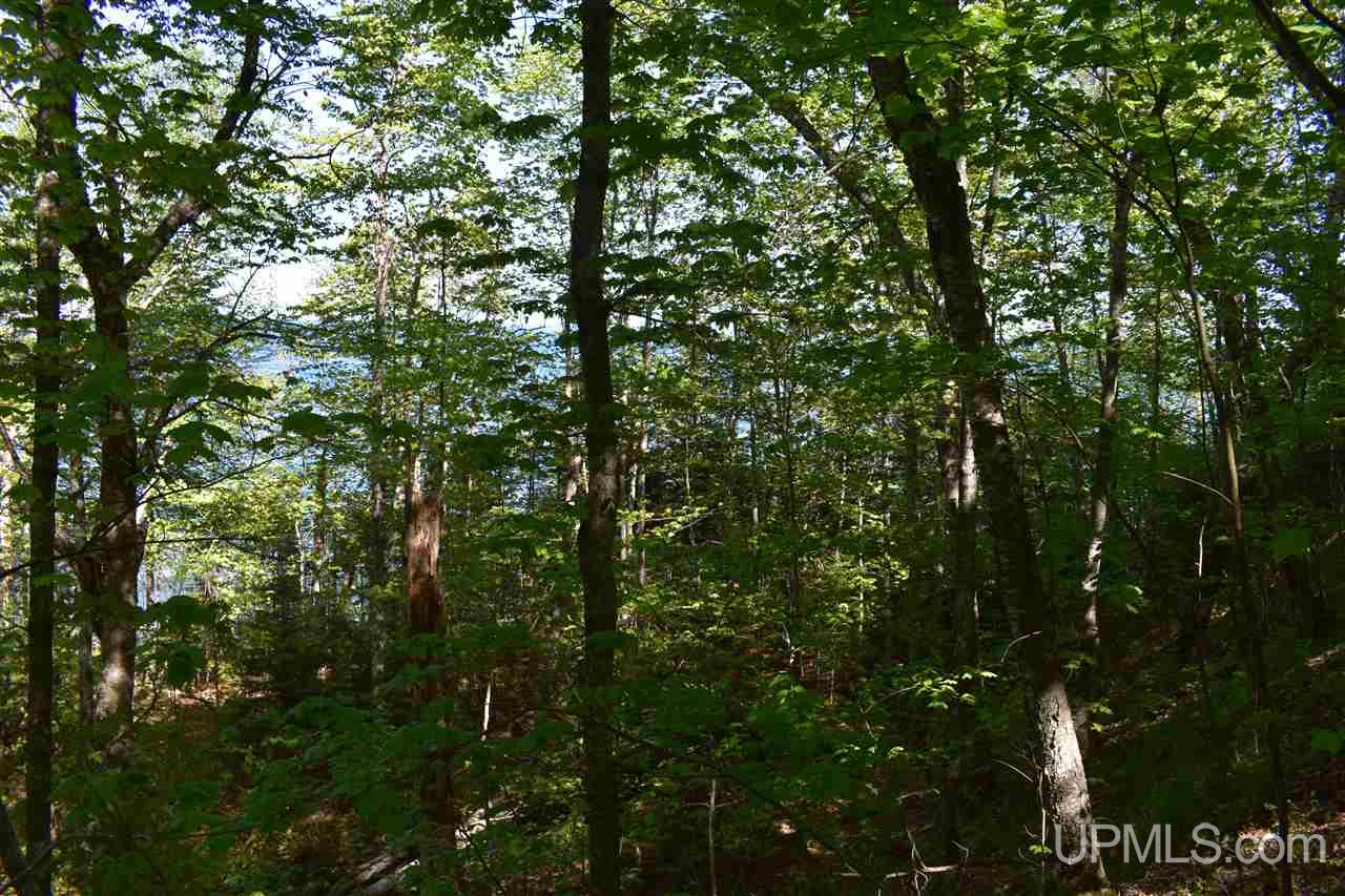 24-acres Co Rd Kb Big Bay, MI 49808 - Photo 41 of 50