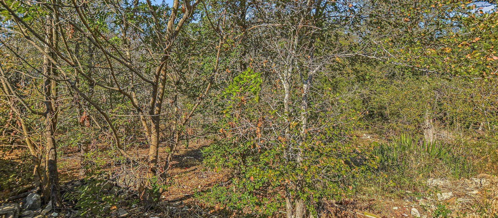 3908 Holt Drive Austin, TX 78749 - Photo 21 of 21