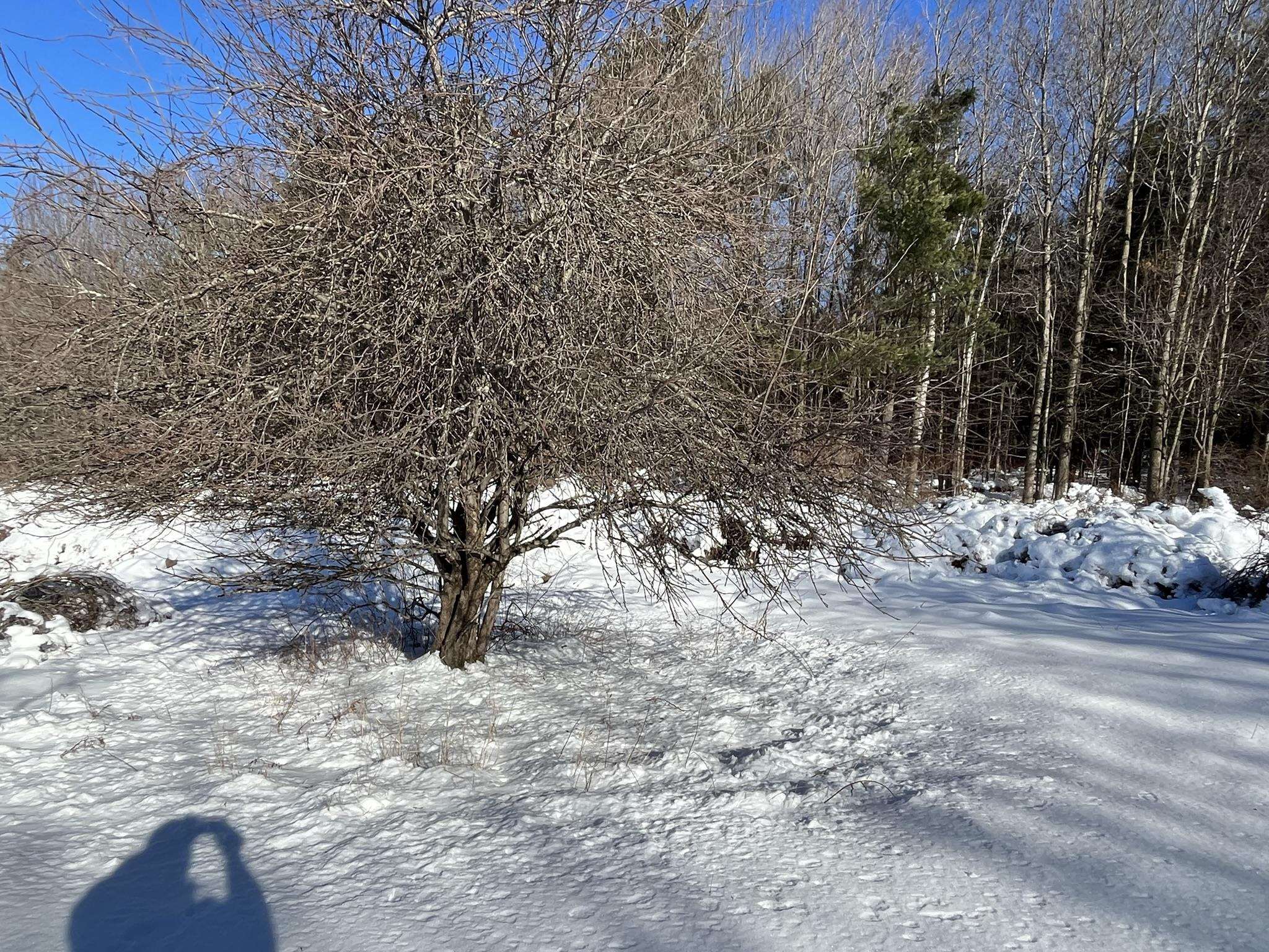 0 Turnpike Road New Ipswich, NH 03071 - Photo 5 of 9