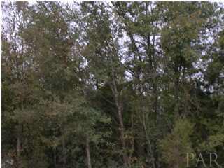 4840 Chestnut Road Molino, FL 32577 - Photo 1 of 2 Gallery Image 1