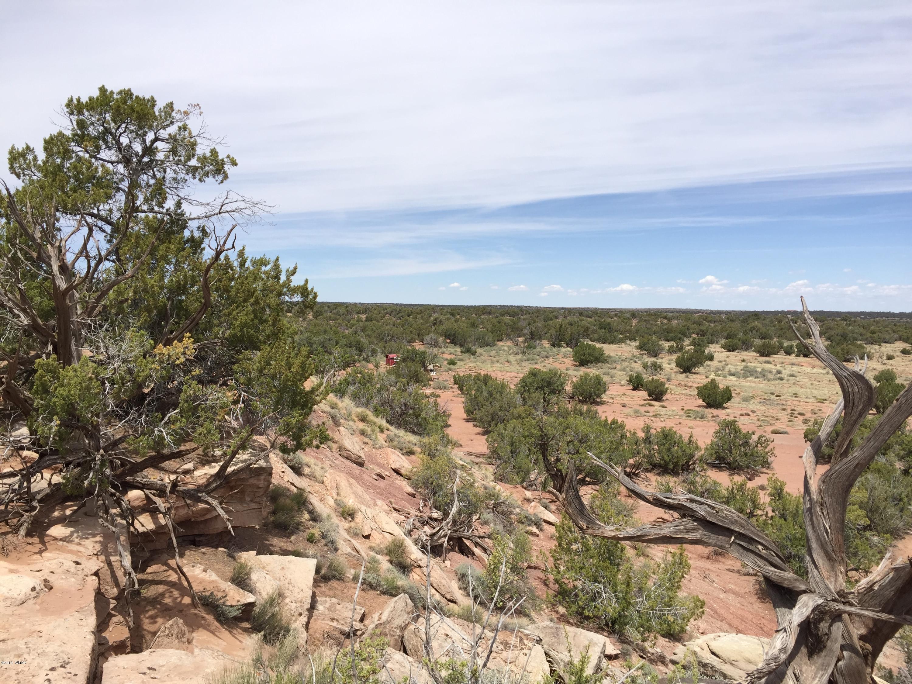 4257 Concho Ocho Road Snowflake, AZ 85937 - Photo 1 of 16